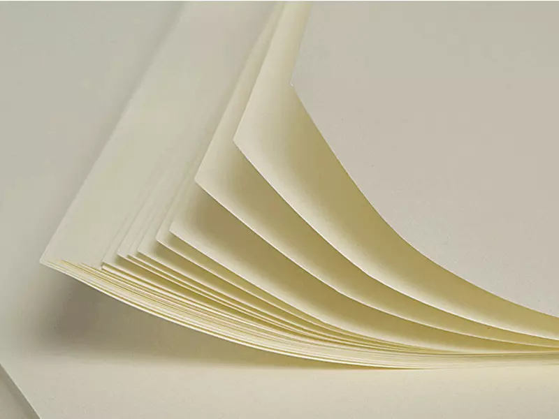 Paper Packaging: The Leading Eco Alternative to Plastic
